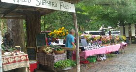 Shepards Farm Stand at Brattleboro Farmers Market