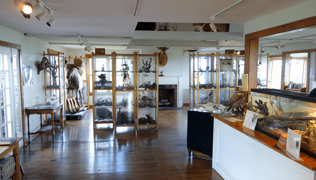 Southern Vermont Natural History Museum