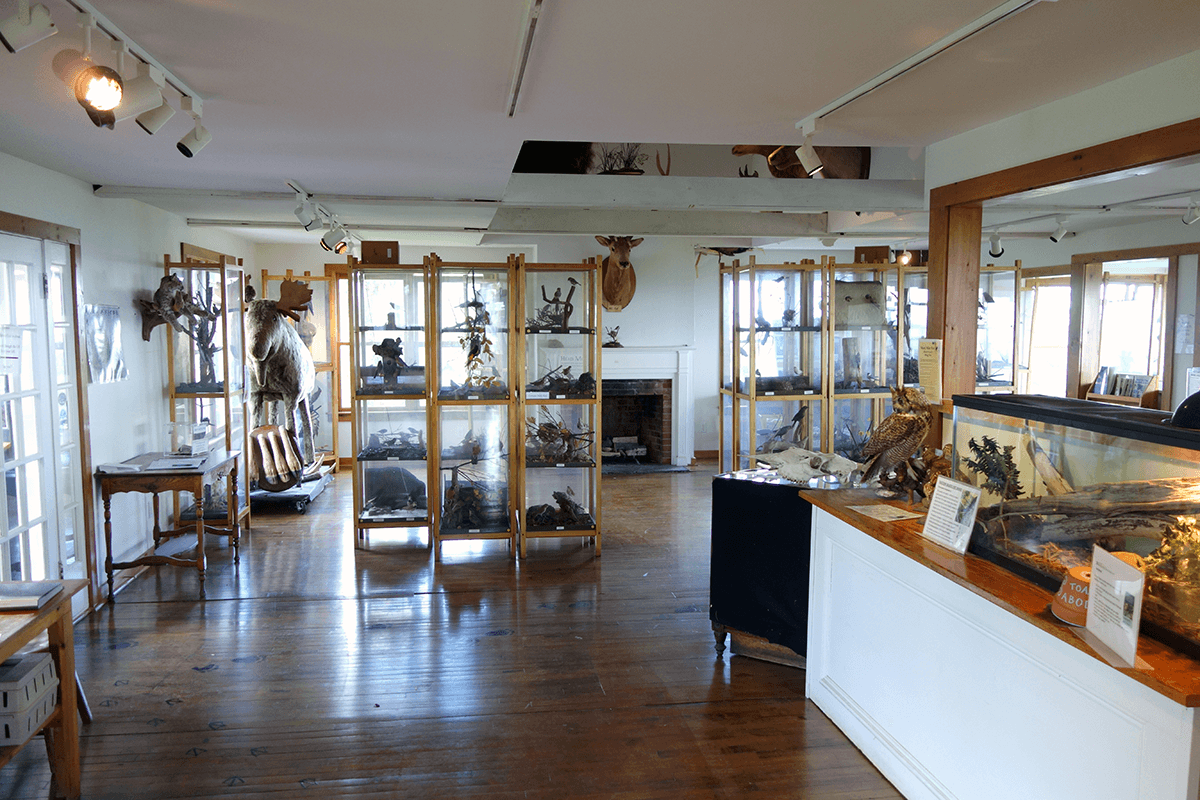 Southern Vermont Natural History Museum